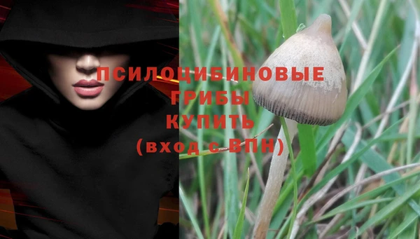 бошки Нефтегорск