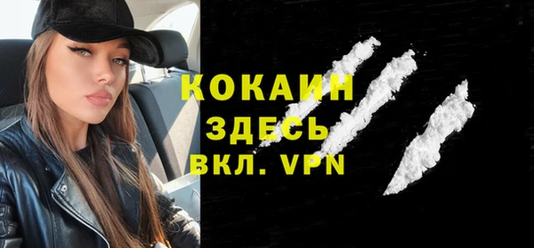 гидра Шарыпово