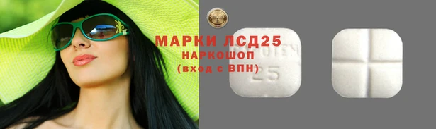 ПСИЛОЦИБИНОВЫЕ ГРИБЫ Нея