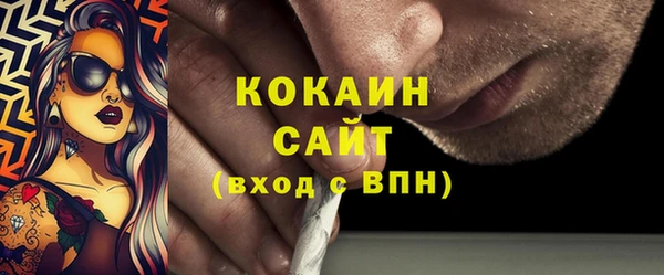 первитин Новодвинск